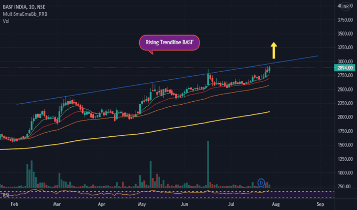 India basf ltd chart year historical charts one