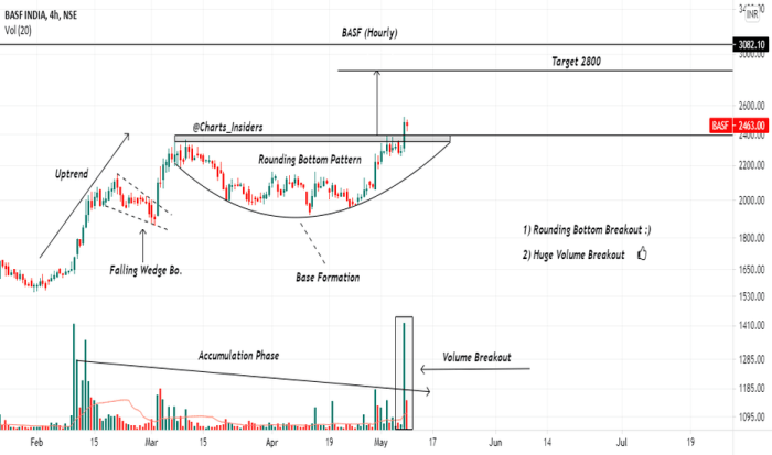 Basf india stock price