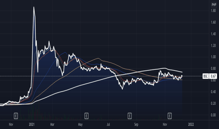 Bsc stock price